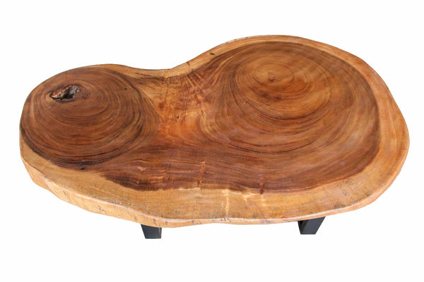 Couchtisch oval, Tisch aus Baumstamm, Baumscheibe Couchtisch 130cm