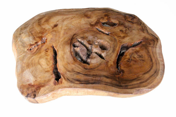 Couchtisch Baumscheibe | Baumstamm Tisch | Baumstamm Holztisch 115cm