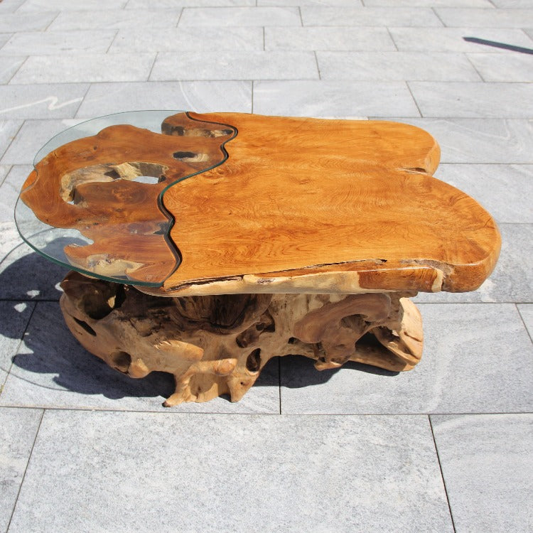 Wurzel als Tisch, Wurzel Couch, Wurzeltisch mit glasplatte 102cm