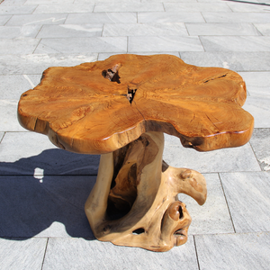 Garten Beistelltisch modern, rund Holz Tisch design, Klein Wurzeltisch