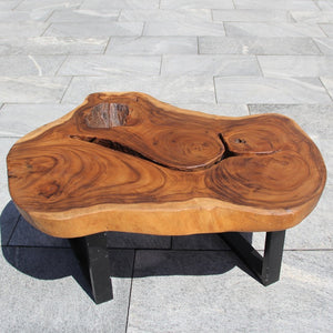 Couchtisch Baumscheibe, Baumscheibe Tisch, Holzstamm Tisch 101cm