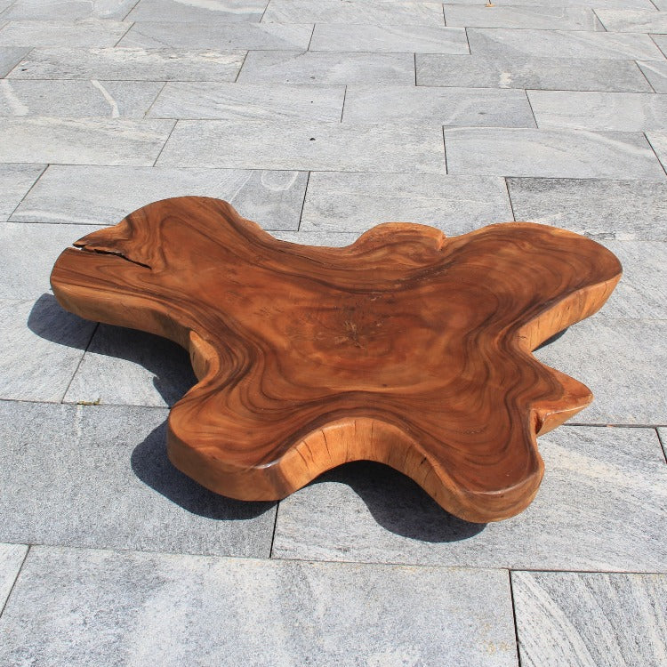 Baumscheibe Couchtisch, Salontisch Holzstamm, Baumstammtisch 124