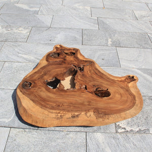 Holzstamm Salontisch, Baumscheibe für Tisch, Baumstamm als Tisch 107cm