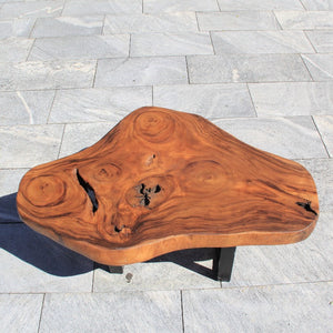 Baumscheibe Tischplatte | Einzelstück Tisch | Baumstamm Salontisch 125x85cm