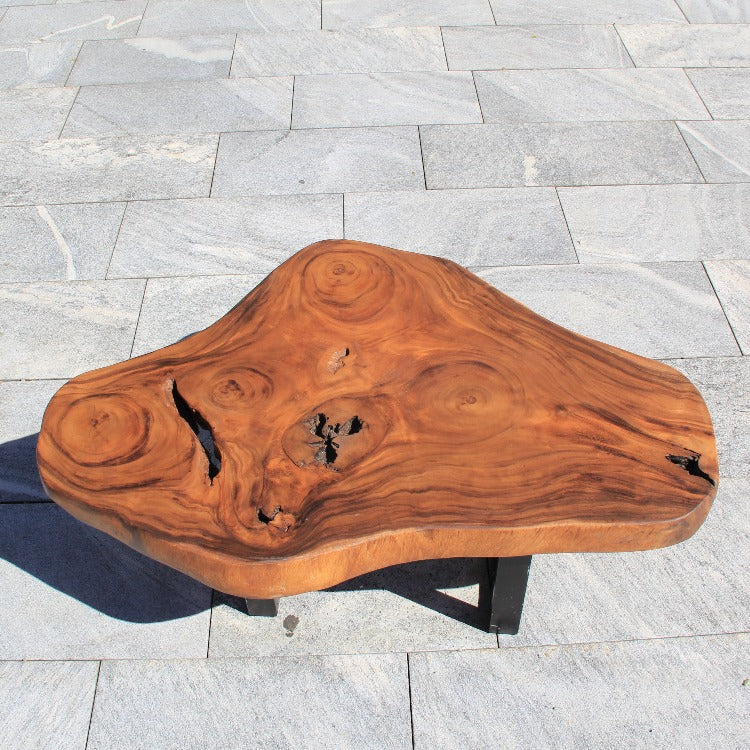 Baumstamm Couchtisch, Baumscheibe Salontisch, Tisch Holzstamm 125