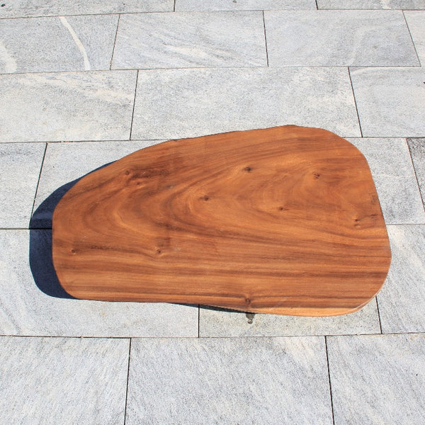Baumstamm Tisch | Baumstamm Couchtisch | Holzscheibe Salontisch 107cm