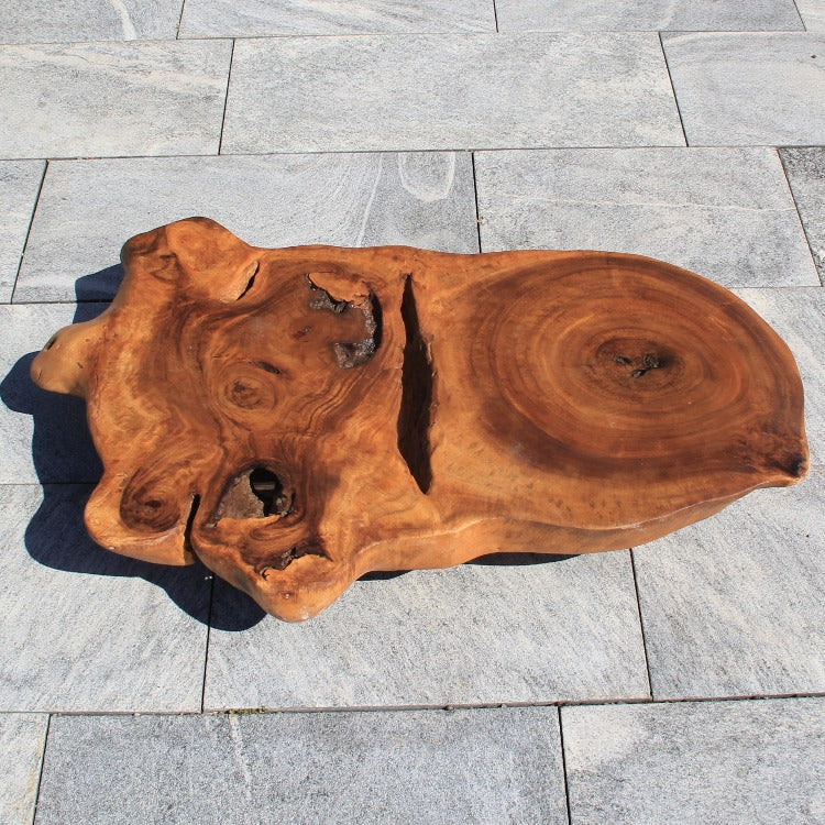 Großer Baumscheibe Couchtisch, XXL Holzstammtisch, Salontisch Groß 120
