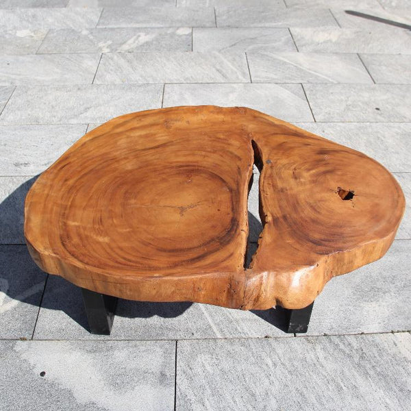 Couchtisch Baumstamm, Baumscheibe Tisch, Holzstamm Salontisch 96cm