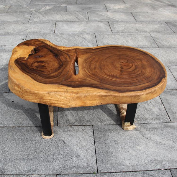 Couchtisch mit Holzstamm, Tisch aus Baumstamm, Baumscheibe Couchtisch 110cm