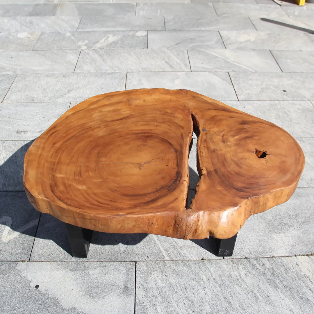 Naturholz Couchtisch, Salontisch aus einem Stück Baumscheibe, Baumstamm