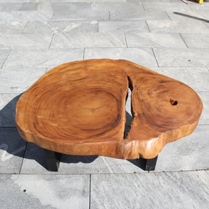 Naturholz Couchtisch, Salontisch aus einem Stück Baumscheibe, Baumstamm