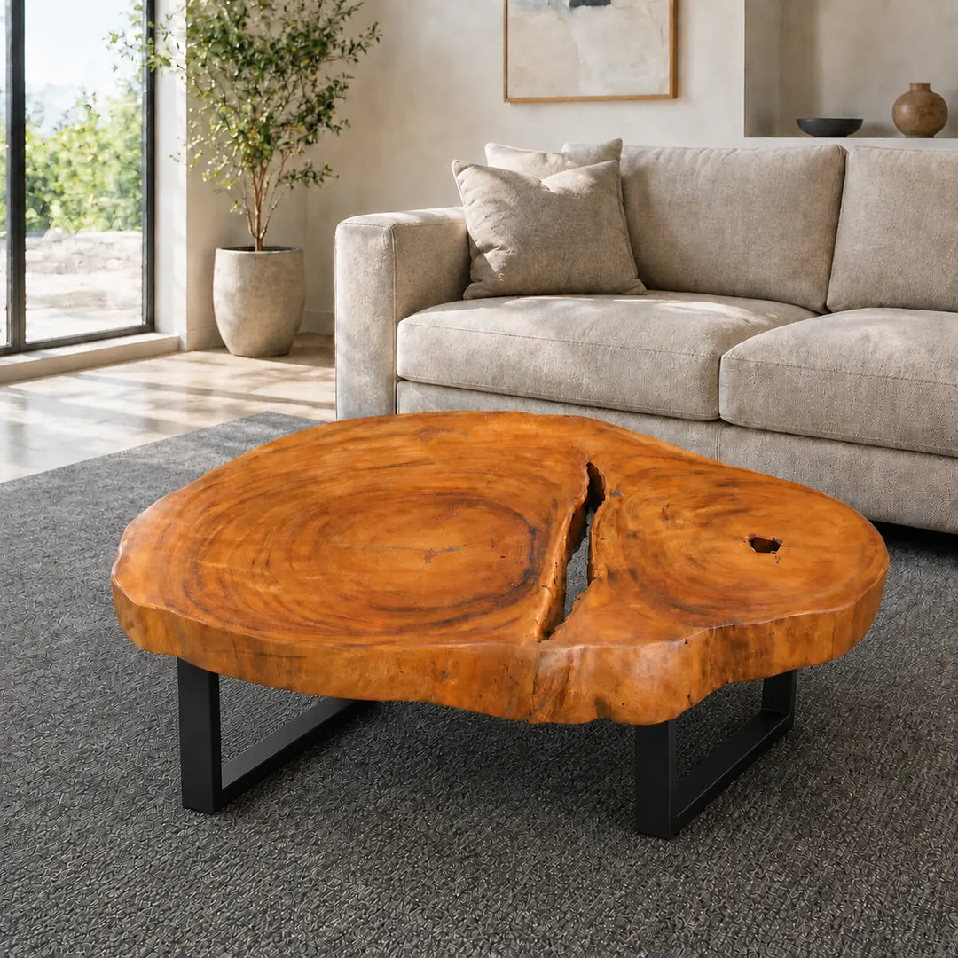 Naturholz-Couchtisch aus einer Akazie/Suarholz-Baumscheibe (ca. 96 × 75 × 43 cm, 8 cm starke Platte) mit „Sonnenschlitz“, Naturkante und Unikat-Maserung, Design-Baumstammtisch für Wohnzimmer, Lounge oder Wintergarten in der Schweiz