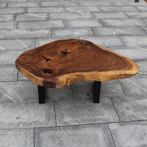 Salontisch große, XXL Couchtisch, großer Holztisch Baumstamm 120cm