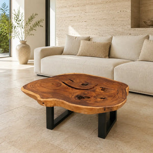 Salontisch aus massiver Suarholz-Baumscheibe (100 x 72 x 43 cm, 8 cm starke Platte) mit organischer Naturform, weißlicher Baumkante, Baumloch und Metallbeinen, Naturholz-Couchtisch für scandi, boho oder asiatisch inspiriertes Wohnen in der Schweiz