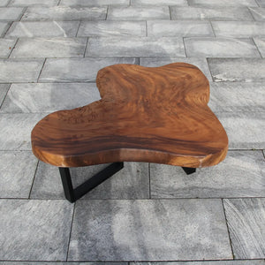 `Wohnzimmertisch aus massiver Akazien-Baumscheibe (100 x 90 x 43 cm, 8 cm starke Platte) mit Baumkante und organischer Naturform, naturbelassenes Massivholz-Unikat als Couchtisch für L- oder U-Sofa im Schweizer Wohnzimmer`
