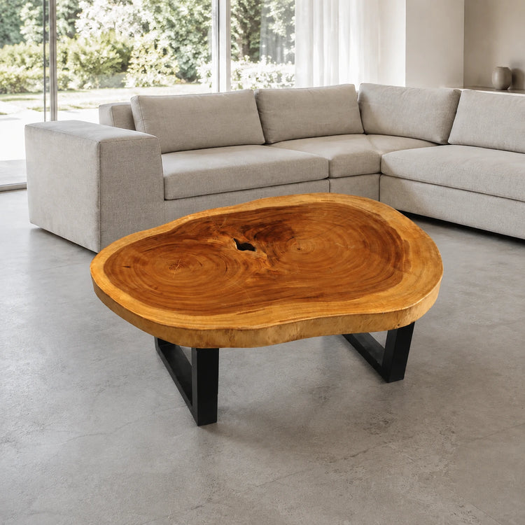 Ovaler Baumstamm-Couchtisch aus Akazie (Suarholz-Baumscheibe, 113 x 80 x 43 cm, 8 cm stark) mit Naturkante und Baumloch, Massivholz-Unikat für Wohnzimmer, Lounge oder Wintergarten in der Schweiz