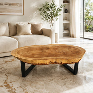 Großer Massivholz-Couchtisch aus Akazie-Baumscheibe (130 x 65 x 43 cm, ca. 8 cm starke Platte) mit zwei Baumkernen, breiter Baumstamm-Salontisch für Ecksofa, Familien-Sitzgruppe oder Loft-Wohnzimmer in der Schweiz
