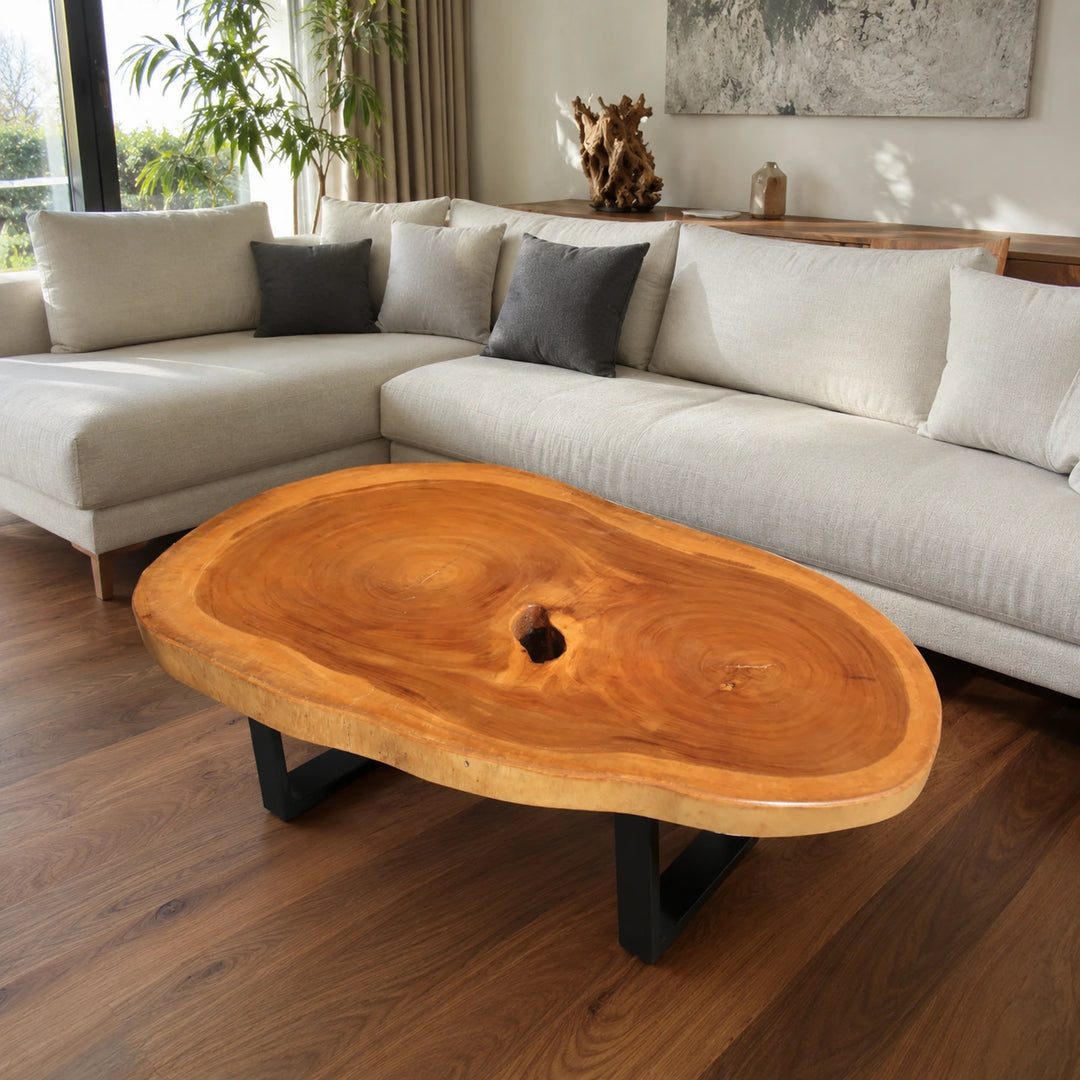 Ovaler Holzstamm-Couchtisch aus massiver Akazien-Baumscheibe (114 x 67 x 43 cm, ca. 8 cm starke Platte) mit Baumkante und sichtbaren Jahresringen, Naturholz-Unikat als Wohnzimmertisch für L-Sofa, Lounge-Ecke oder offenen Wohn-/Essbereich in der Schweiz