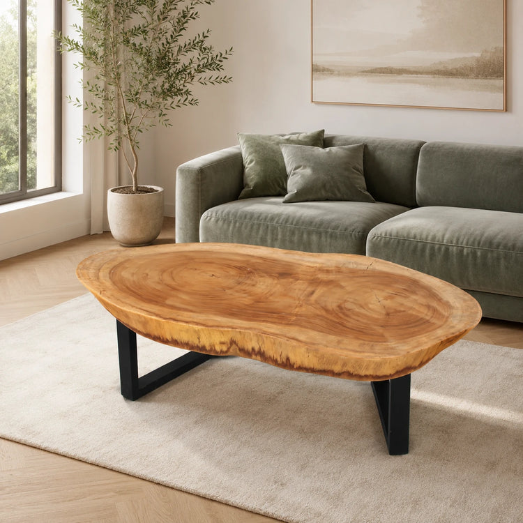 Großer Massivholz-Couchtisch aus Akazie-Baumscheibe (130 x 65 x 43 cm, ca. 8 cm starke Platte) mit zwei Baumkernen, breiter Baumstamm-Salontisch für Ecksofa, Familien-Sitzgruppe oder Loft-Wohnzimmer in der Schweiz