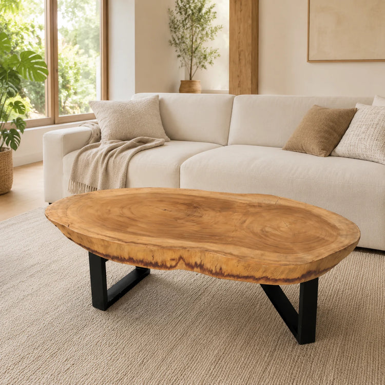 Großer Massivholz-Couchtisch aus Akazie-Baumscheibe (130 x 65 x 43 cm, ca. 8 cm starke Platte) mit zwei Baumkernen, breiter Baumstamm-Salontisch für Ecksofa, Familien-Sitzgruppe oder Loft-Wohnzimmer in der Schweiz