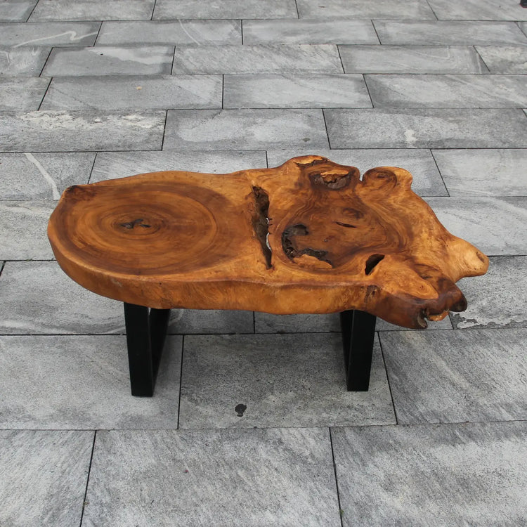 Ovaler Baumscheiben-Couchtisch aus massiver Akazien-Baumscheibe (120 x 73 x 43 cm, 8 cm starke Platte) mit Naturkante, rustikal-asiatisches Massivholz-Unikat als Wohnzimmertisch für Sofalandschaft, Lounge oder Chalet in der Schweiz