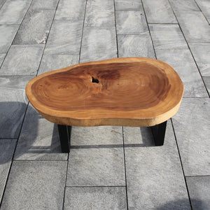 ovaler Tropenholz Tisch, Baumstamm Tisch oval, Baumstammtisch kaufen